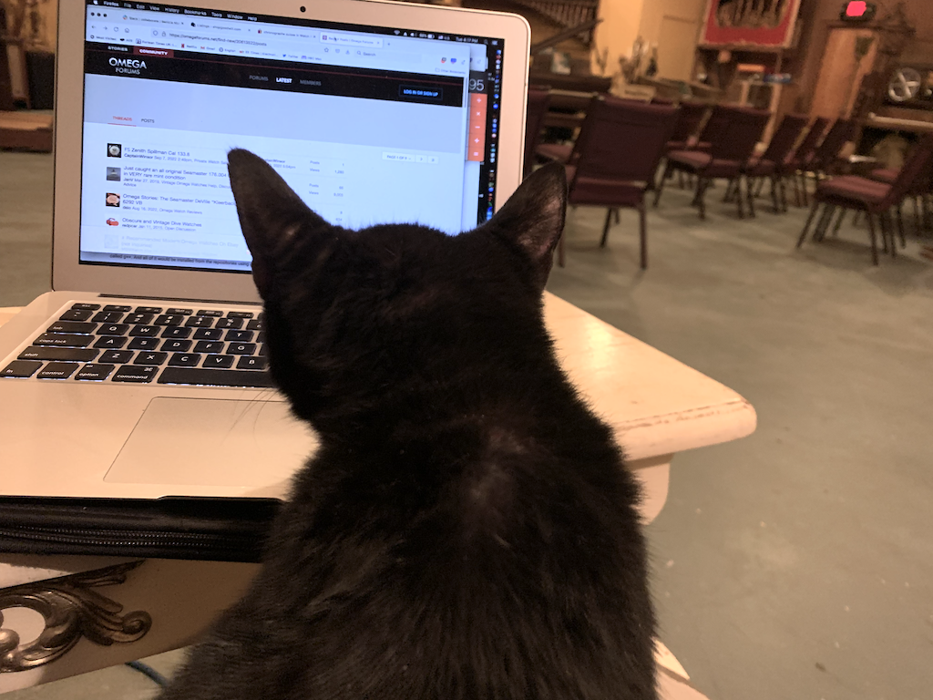 IMG_3419 1.png IMG_3419 1.png