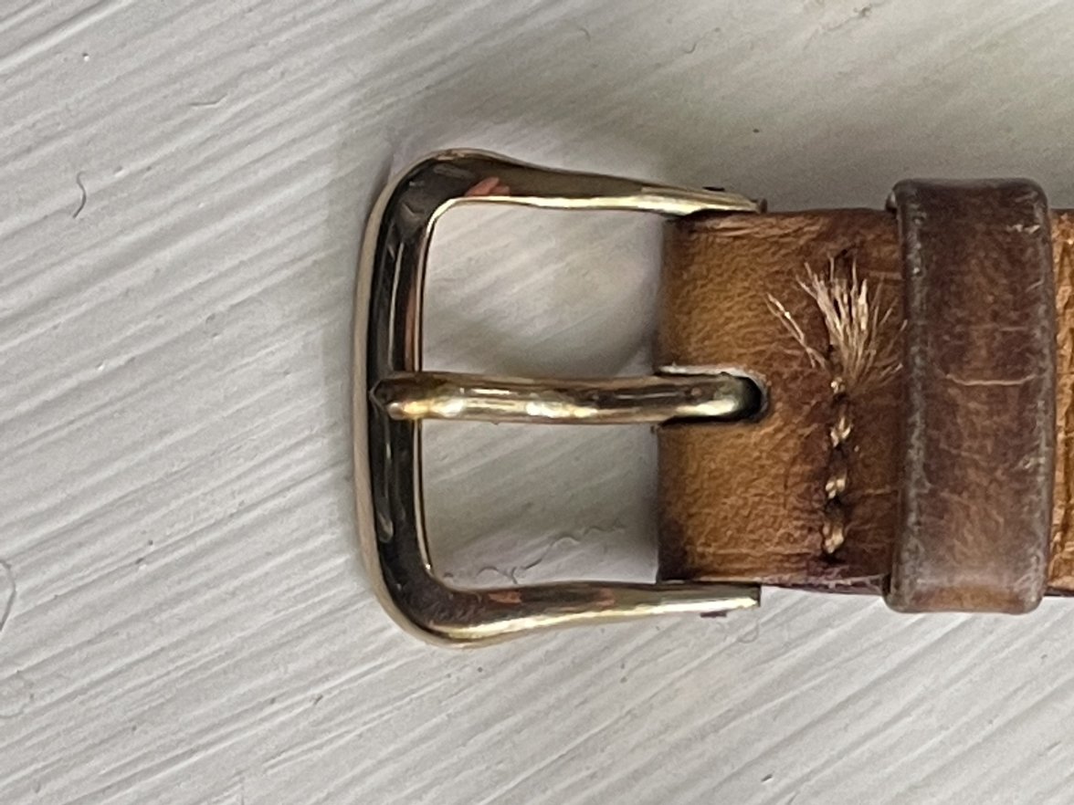 8AE53109-0CFA-4B3F-9F6E-7E7D28F9013A.jpeg 8AE53109-0CFA-4B3F-9F6E-7E7D28F9013A.jpeg