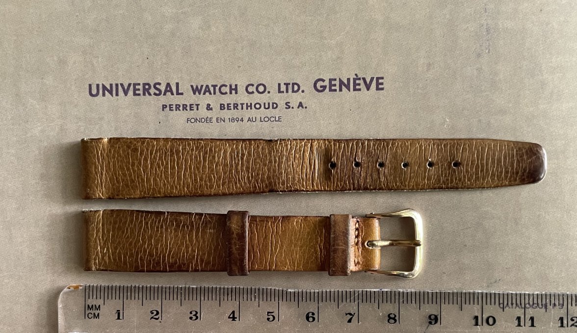 C09A971C-8E49-47BA-A6A2-0355C3EBB5AA.jpeg C09A971C-8E49-47BA-A6A2-0355C3EBB5AA.jpeg