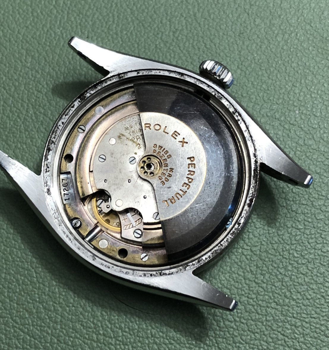 IMG_3158.jpeg IMG_3158.jpeg