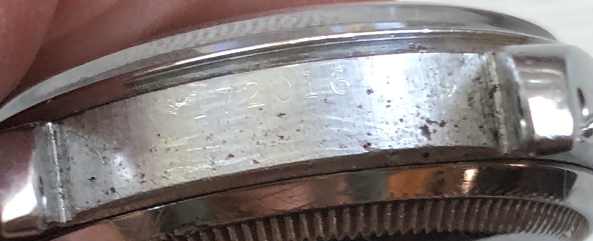 IMG_3155.jpeg IMG_3155.jpeg