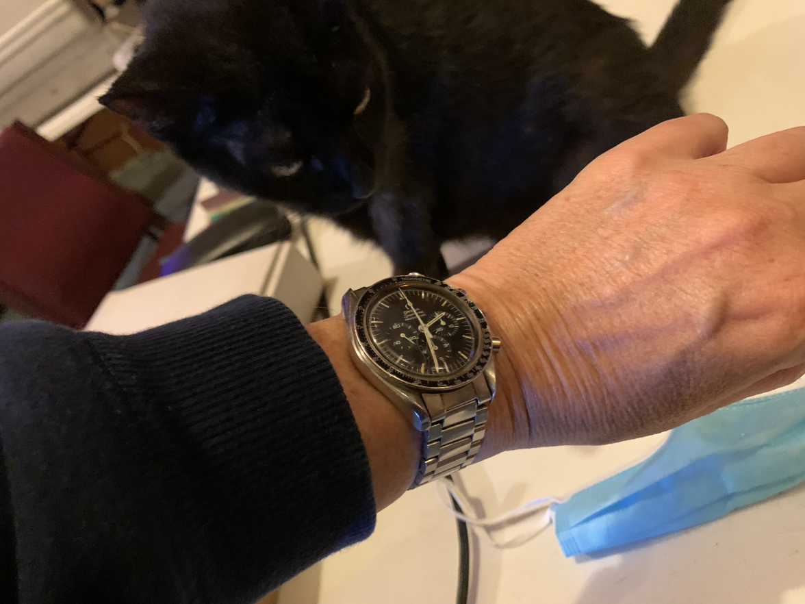 IMG_3459.png IMG_3459.png