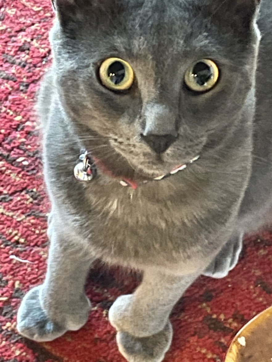 7BA77A4C-DB3E-40C7-8781-201A18E53EB3.jpeg 7BA77A4C-DB3E-40C7-8781-201A18E53EB3.jpeg