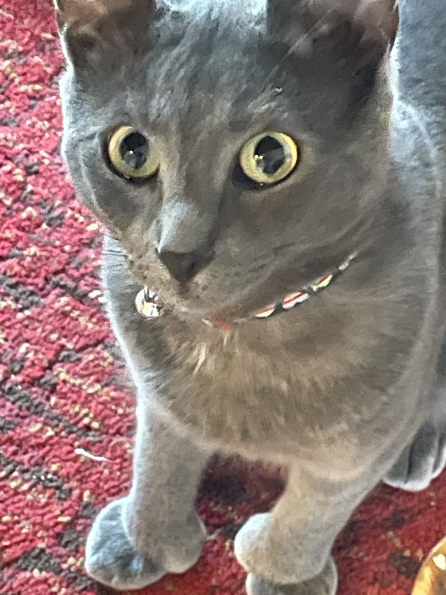 32872901-F049-4FDF-AF96-ADD9DB278559.jpeg 32872901-F049-4FDF-AF96-ADD9DB278559.jpeg