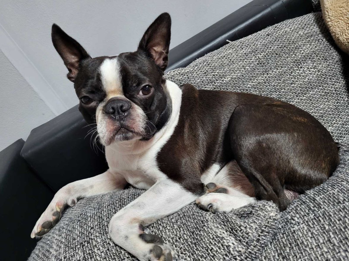 IMG-df18f5b166d8b31a3f12193bb3579aca-V.jpg IMG-df18f5b166d8b31a3f12193bb3579aca-V.jpg