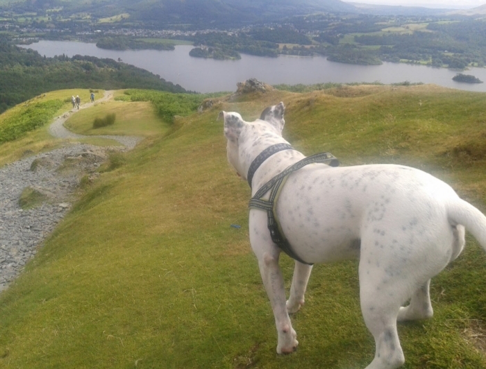 20221001_101455.jpg 20221001_101455.jpg