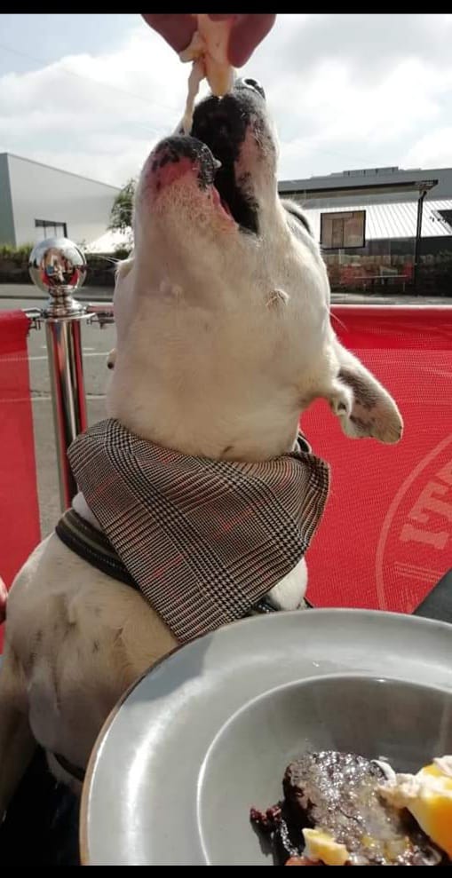 IMG-20221001-WA0004.jpg IMG-20221001-WA0004.jpg