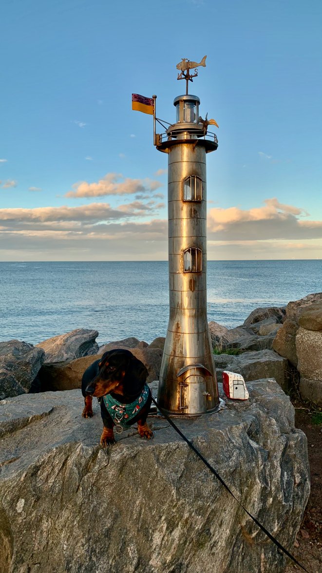 IMG_1380.jpeg IMG_1380.jpeg