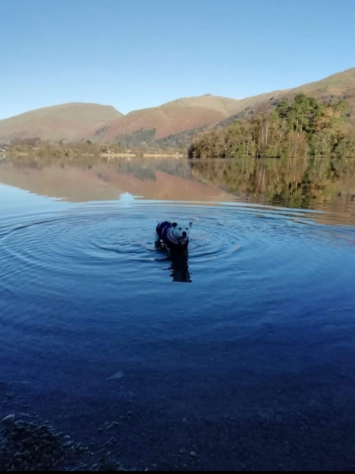 20221002_071027.jpg 20221002_071027.jpg