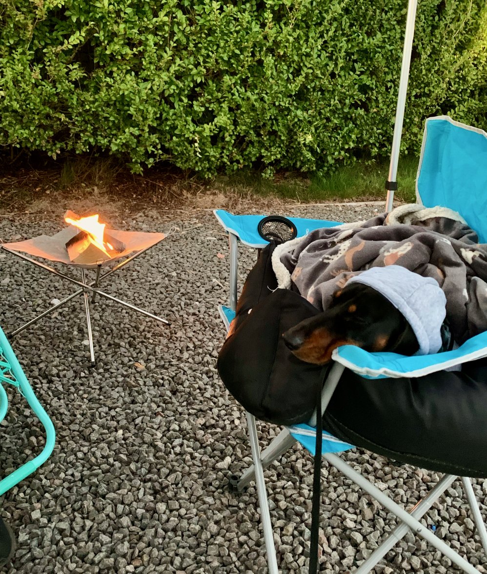 IMG_1390.jpeg IMG_1390.jpeg