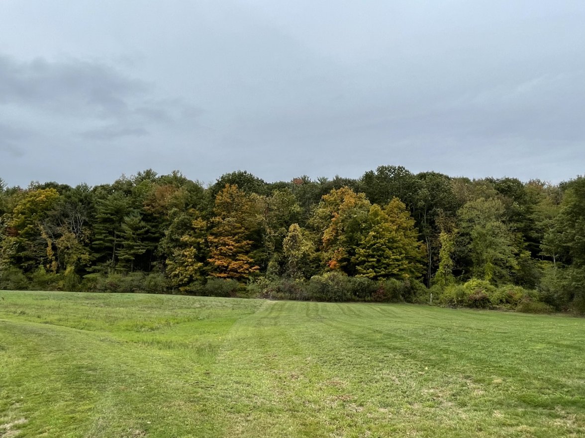 2B88EC1D-8597-4834-B0F3-3B4064686A3B.jpeg