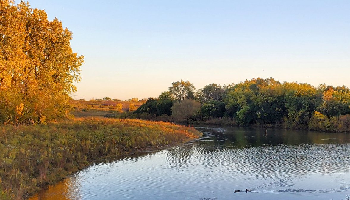 Seagull ws 1 20221012_175604.jpg