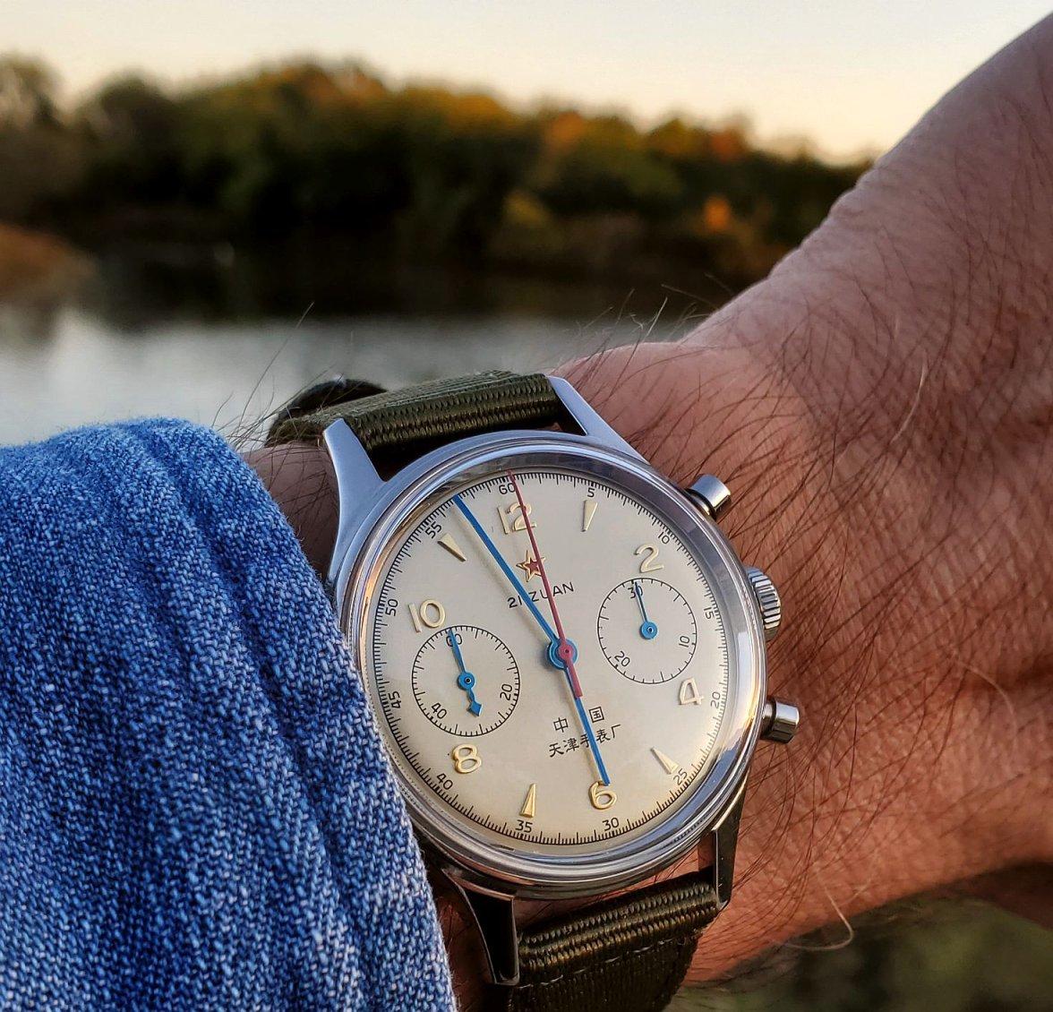 Seagull ws 3 20221012_175700.jpg