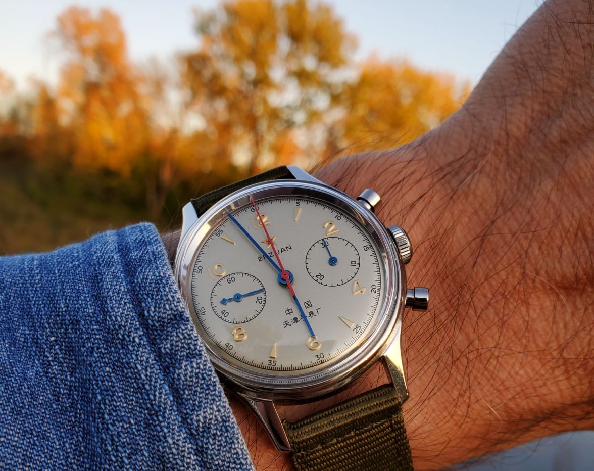 Seagull ws 4 20221012_175717.jpg