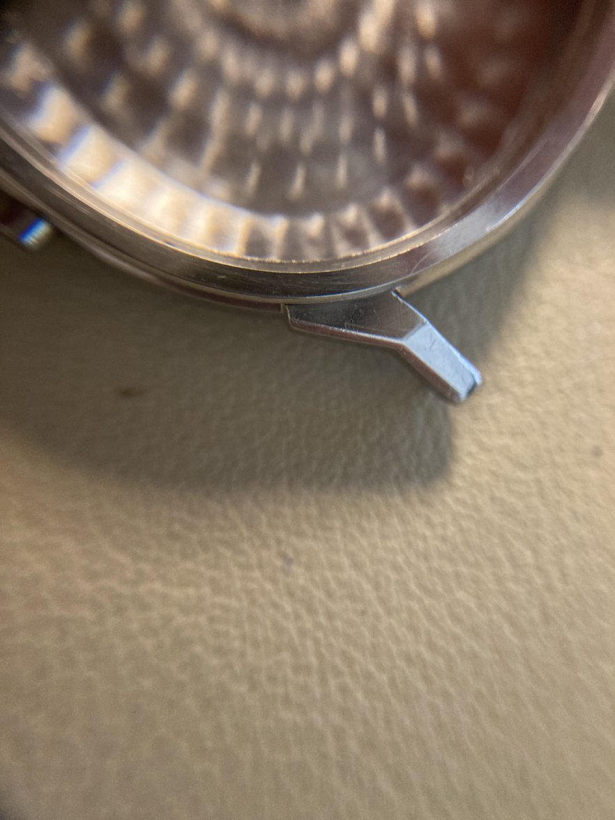 CDDDEDA0-AD6C-494A-97BC-8BC0120E3B4E.jpeg CDDDEDA0-AD6C-494A-97BC-8BC0120E3B4E.jpeg