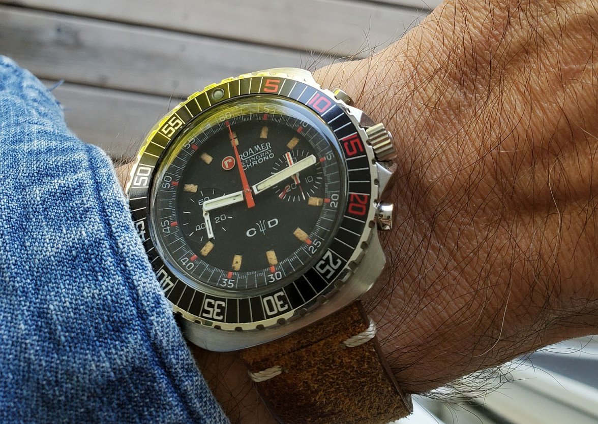 Roamer ws 1 20221014_091431.jpg