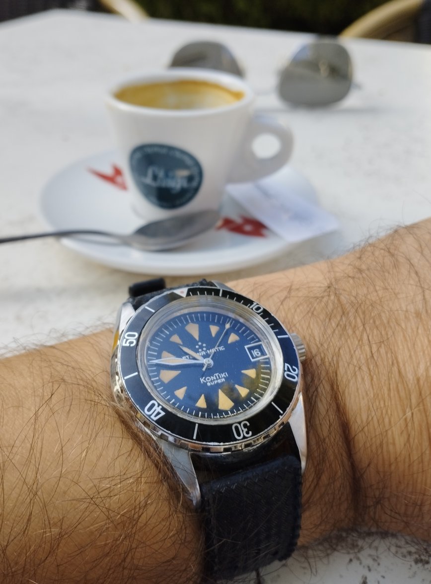 IMG_20221016_104939.jpg IMG_20221016_104939.jpg