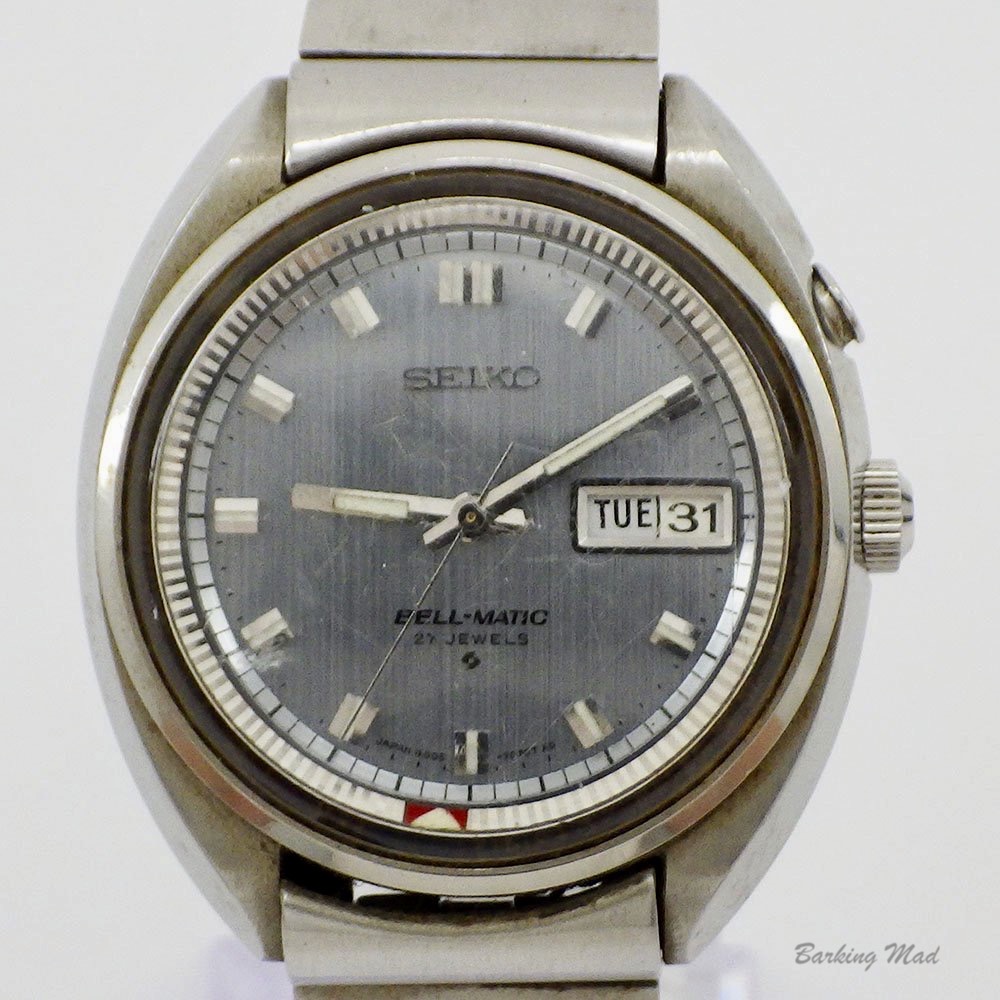 IMG_8483.jpeg IMG_8483.jpeg