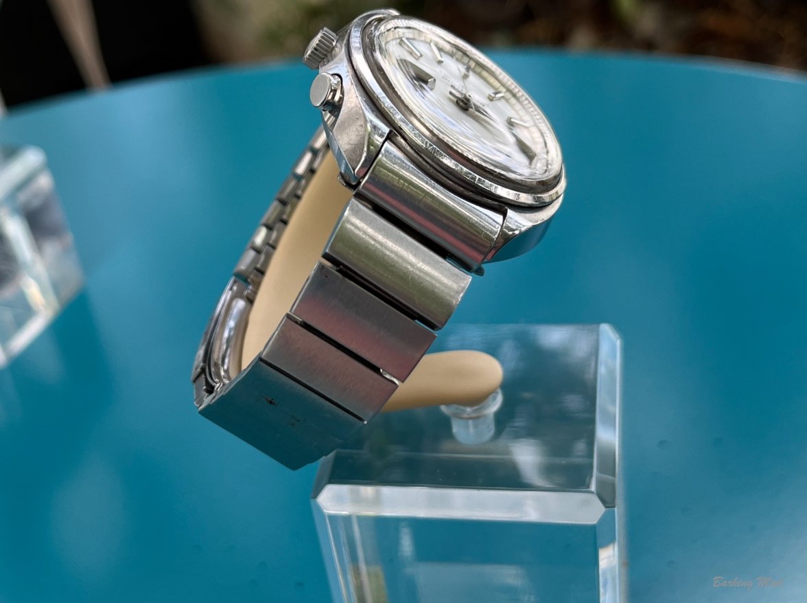 IMG_9500.jpeg IMG_9500.jpeg