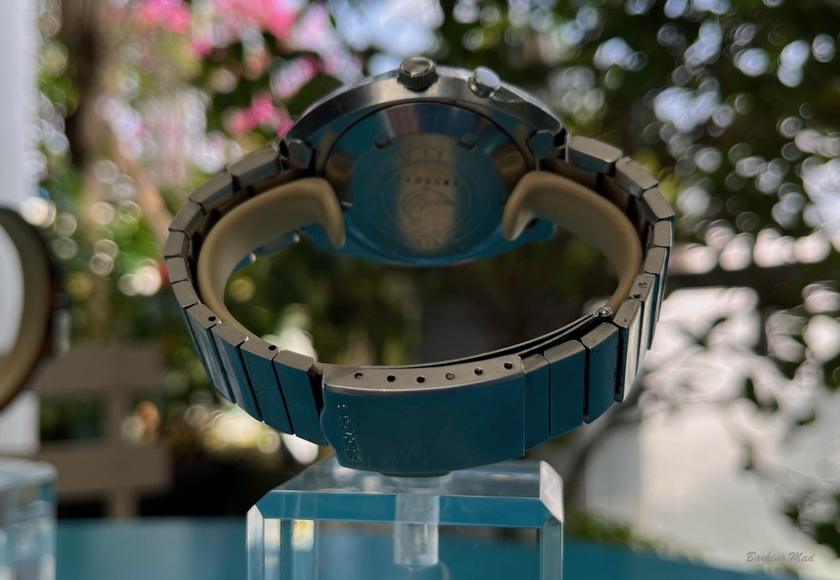 IMG_9501.jpeg IMG_9501.jpeg