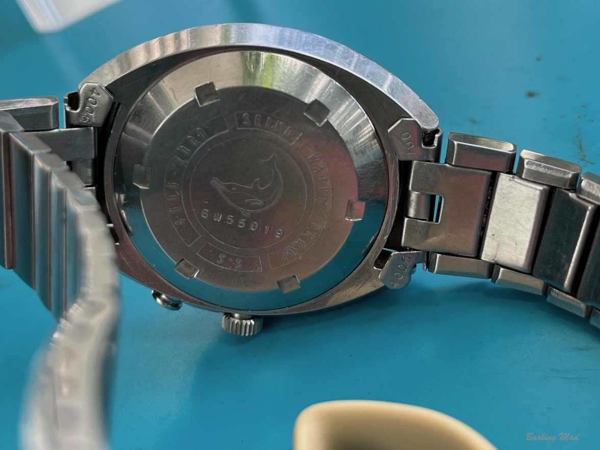 IMG_9519.jpeg IMG_9519.jpeg