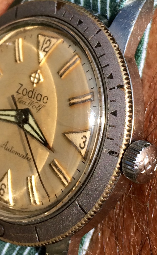 Photo Aug 19, 4 01 31 PM.jpg