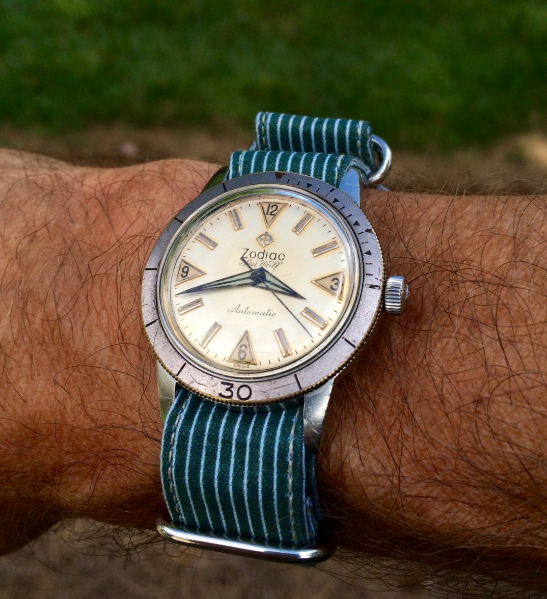 Photo Aug 19, 4 00 30 PM.jpg