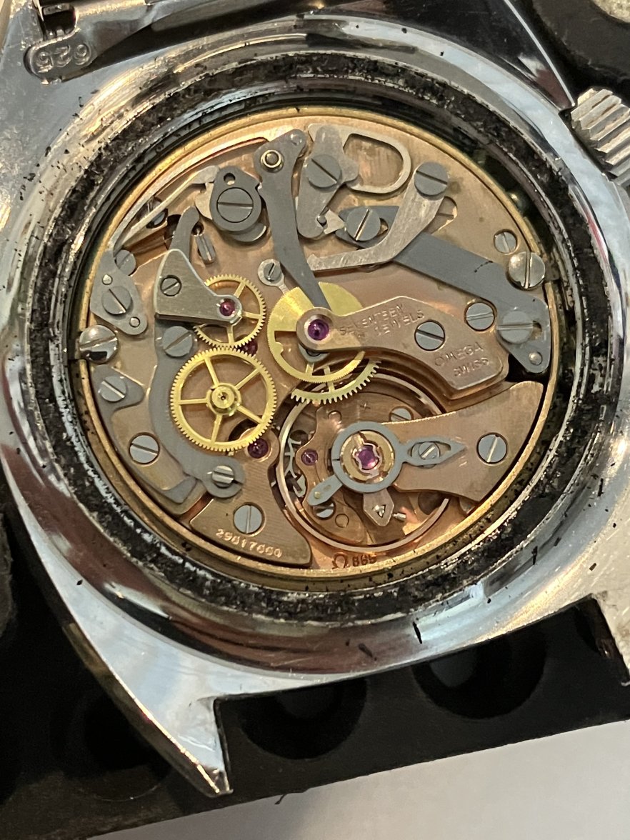 695197CA-0E31-49D2-9750-6115E31C3144.jpeg 695197CA-0E31-49D2-9750-6115E31C3144.jpeg