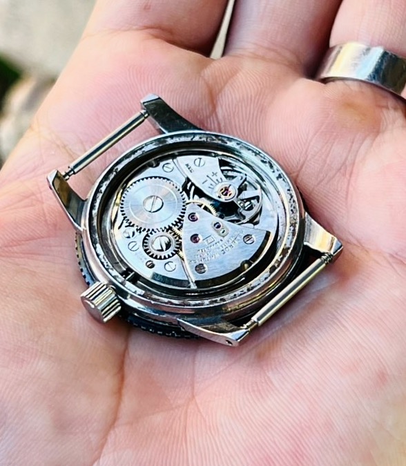 1668060495645.jpeg 1668060495645.jpeg