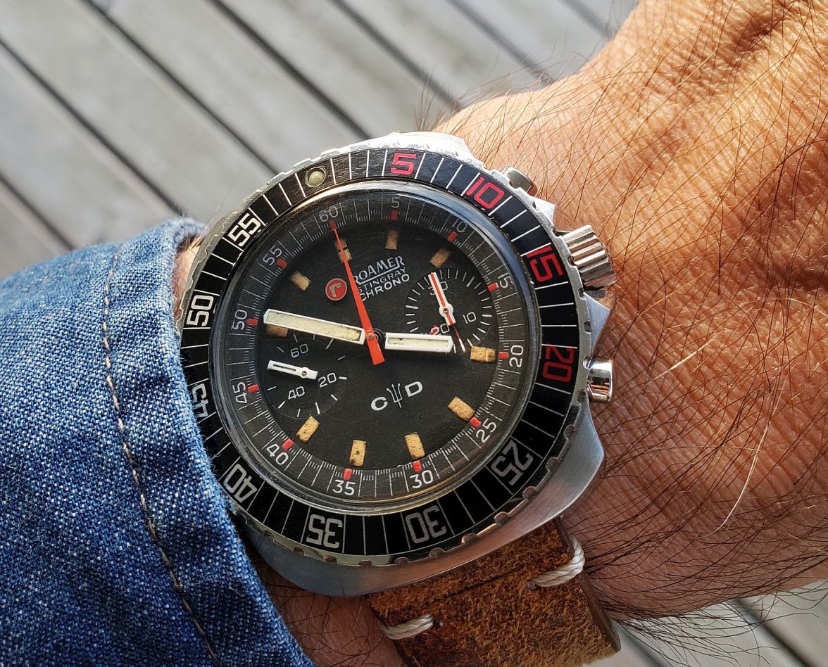 Roamer ws 1b 20221113_155052.jpg