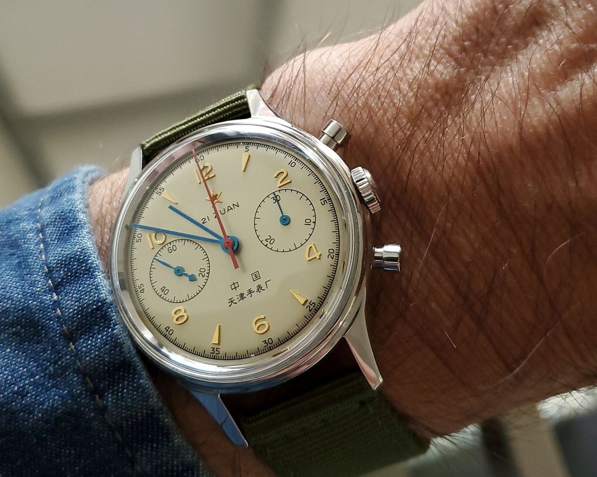 Seagull ws 1 20221117_105042.jpg