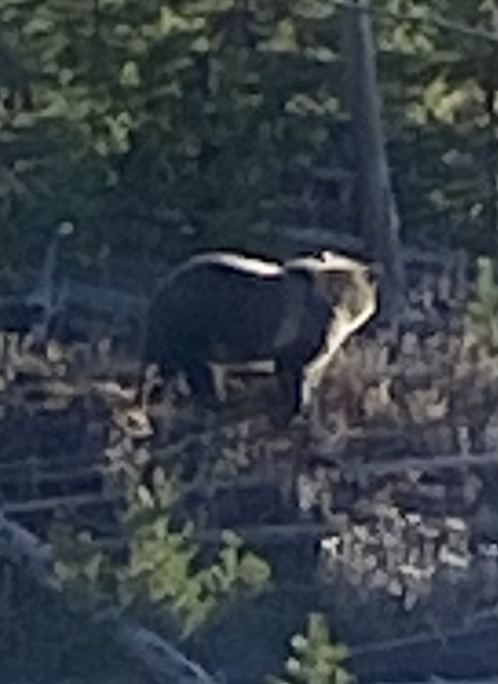 40DB0EED-6E3A-467C-BA2D-5AA18FC9C804.jpeg 40DB0EED-6E3A-467C-BA2D-5AA18FC9C804.jpeg