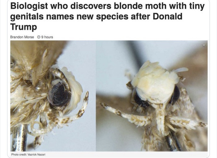 0449BB3A-B8D2-4344-9284-C48F09337C0C.jpeg 0449BB3A-B8D2-4344-9284-C48F09337C0C.jpeg