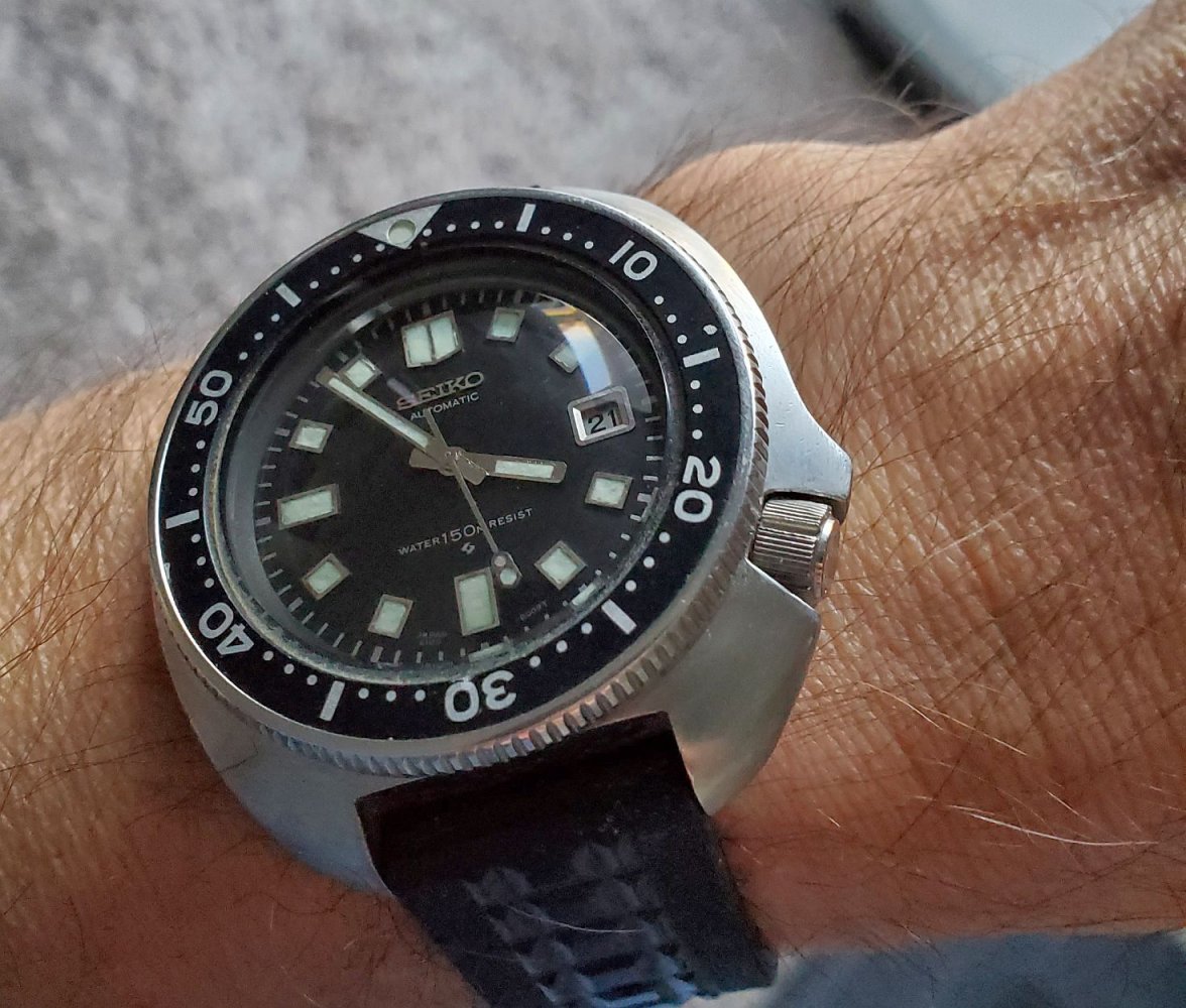 Willard ws 1 20221121_155315.jpg