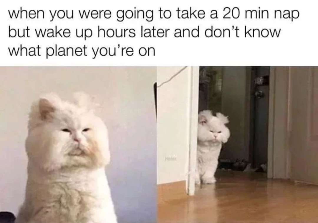 Screenshot_20221122-232706_Instagram.jpg Screenshot_20221122-232706_Instagram.jpg