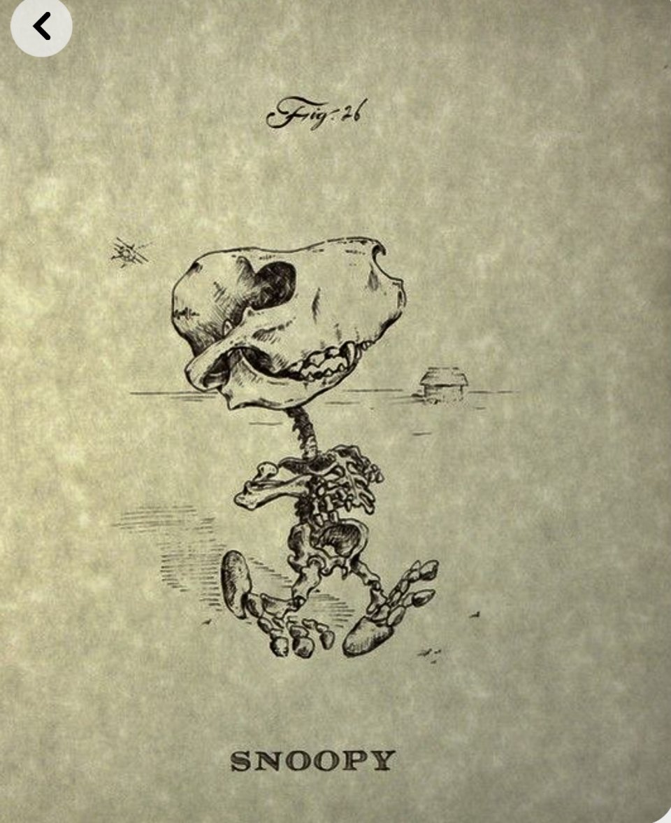 F38374AE-2D28-4951-9F3A-A0DE73913332.jpeg F38374AE-2D28-4951-9F3A-A0DE73913332.jpeg