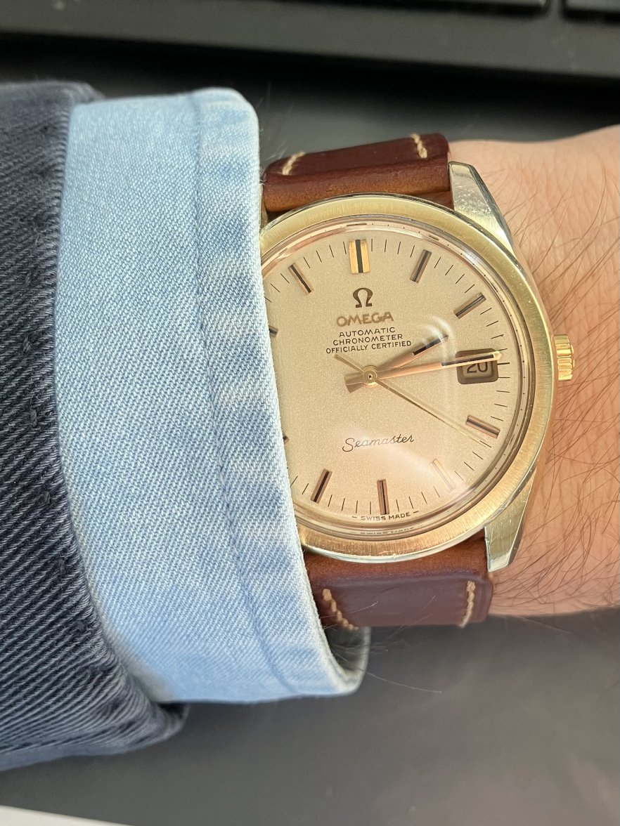 8131C3FF-23B3-48F7-8941-8C43AD594C55.jpeg 8131C3FF-23B3-48F7-8941-8C43AD594C55.jpeg