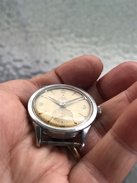 IMG_6740.jpg IMG_6740.jpg