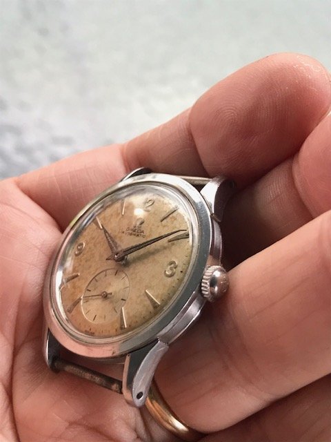 IMG_6741.jpg IMG_6741.jpg