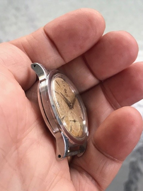 IMG_6742.jpg IMG_6742.jpg