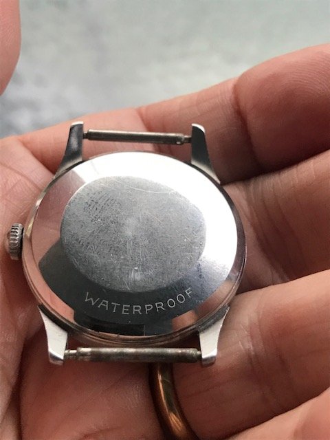 IMG_6743.jpg IMG_6743.jpg