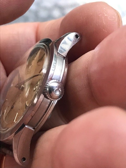 IMG_6747.jpg IMG_6747.jpg