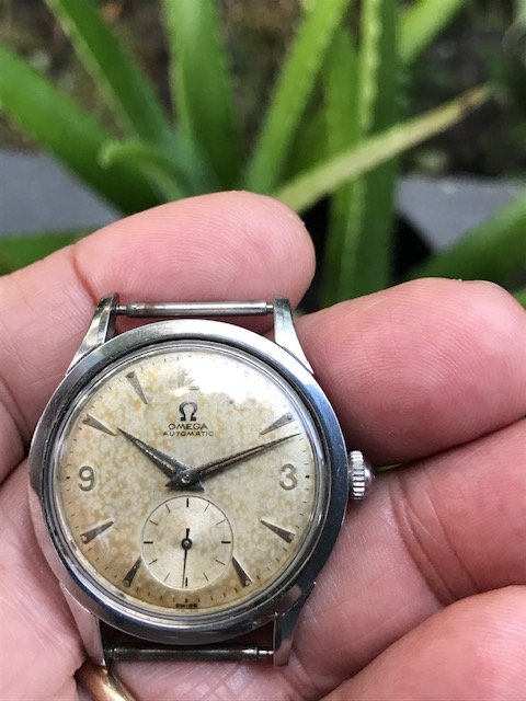 IMG_6744.jpg IMG_6744.jpg