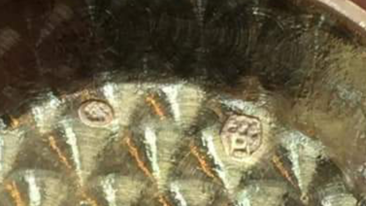 6C96F13B-B01E-4B14-B4DE-FB3441CC7266.png