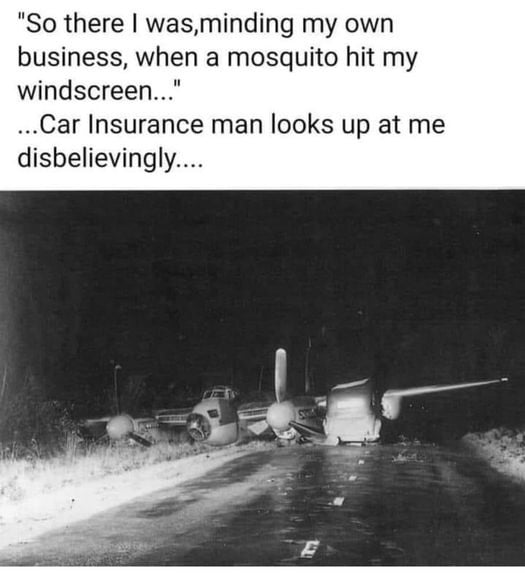 MOSQUITO.jpg