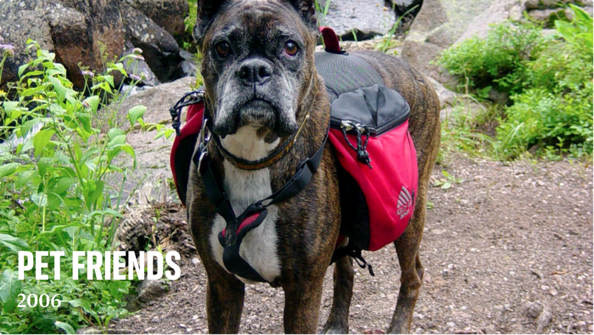 Screen Shot 2022-12-16 at 8.36.42 PM.png