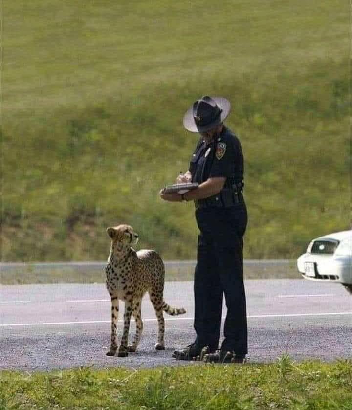 1671487082451.jpg 1671487082451.jpg