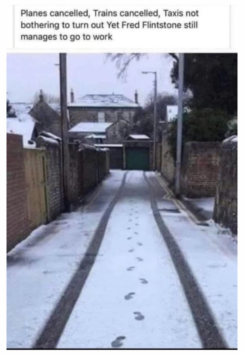 C233454A-CC36-4123-9238-6293313C0532.jpeg C233454A-CC36-4123-9238-6293313C0532.jpeg