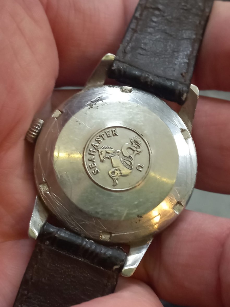 WhatsApp Image 2022-12-24 at 21.45.42.jpeg