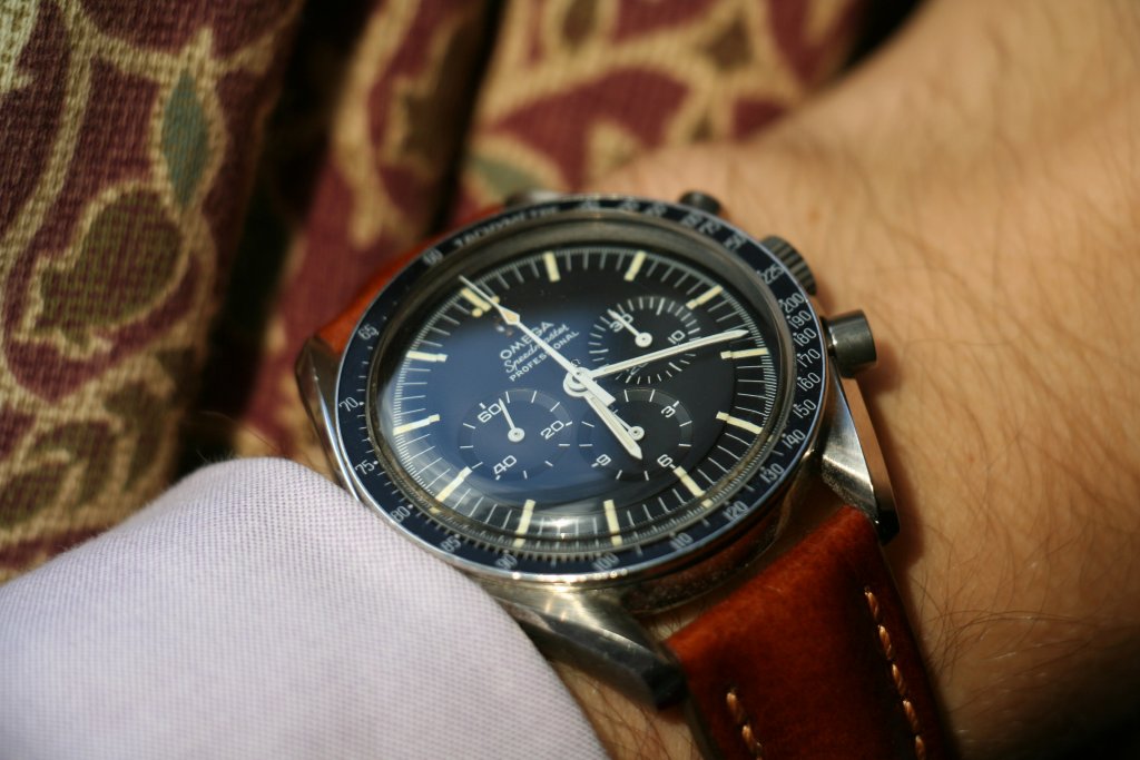 speedie sunshine.jpg